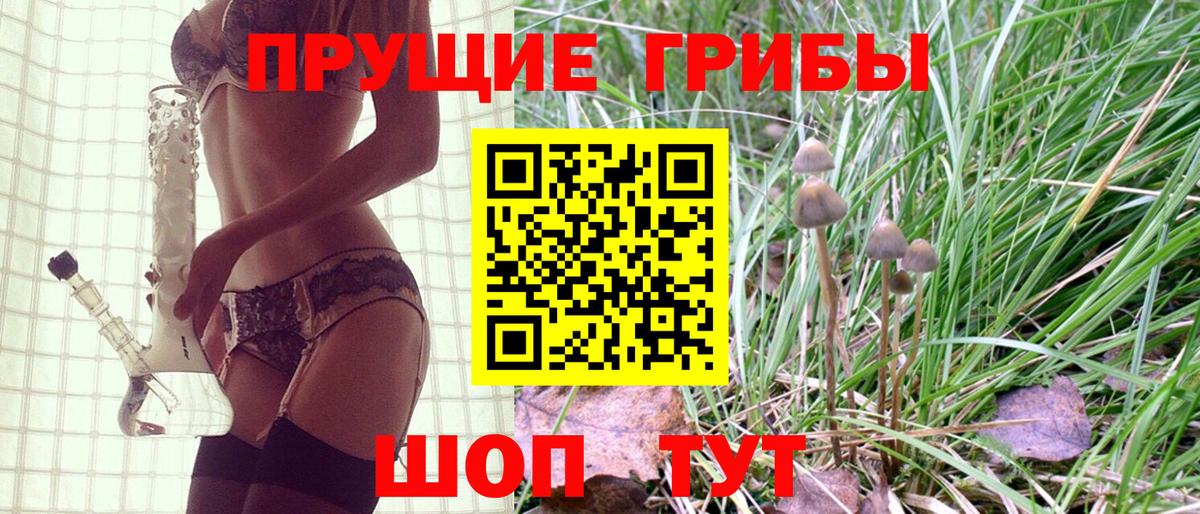Выкса  Галлюциногенные грибы MAGIC MUSHROOMS  Вход с VPN  закладки  Галлюциногенные грибы Psilocybine cubensis 